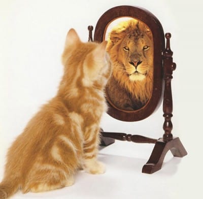 Having a Winning Image