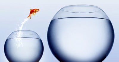 Importance of Belief