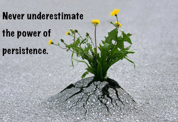 4 Steps to Mastering Persistence