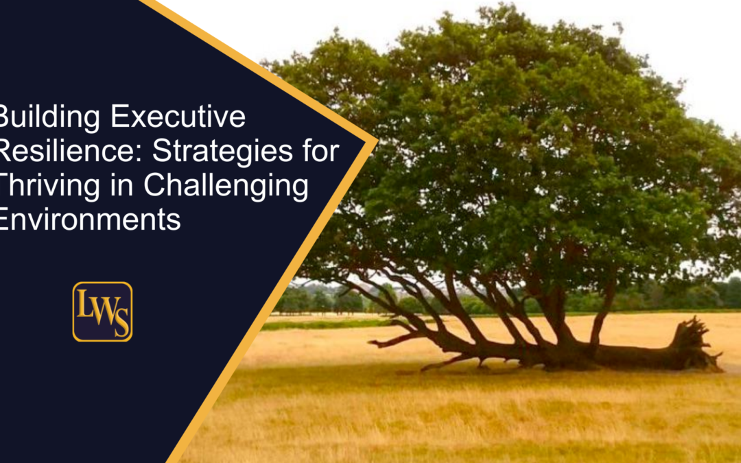 Building Executive Resilience: Strategies for Thriving in Challenging Environments