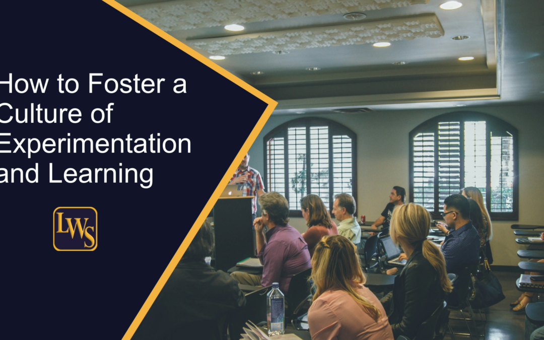 How to Foster a Culture of Experimentation and Learning