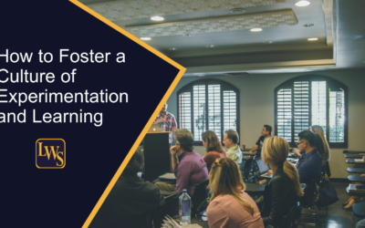 How to Foster a Culture of Experimentation and Learning