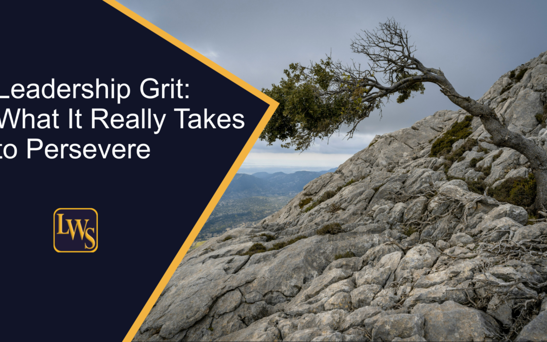 Leadership Grit: What It Really Takes to Persevere