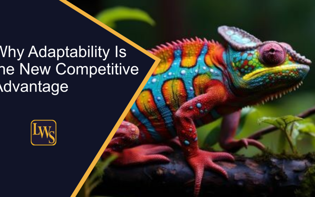 Why Adaptability Is the New Competitive Advantage
