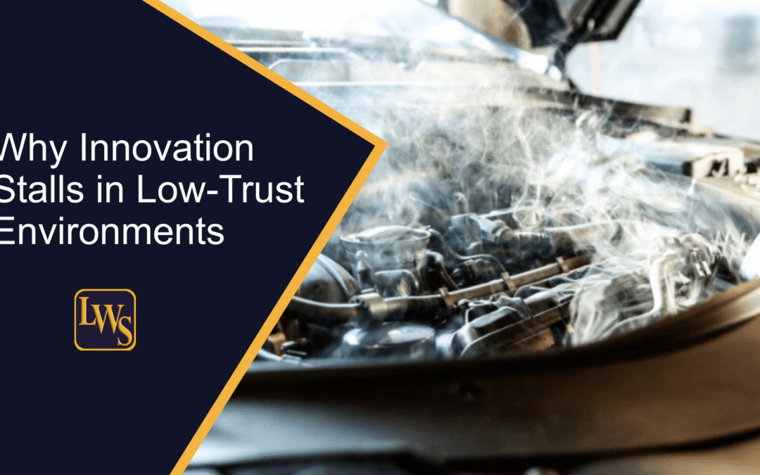Why Innovation Stalls in Low-Trust Environments